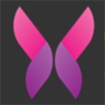 黄金网站软件app免费下载2025