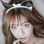 青青草视频播放器免费下载
