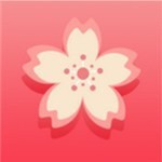 5178舞一曲吧安装包下载入口