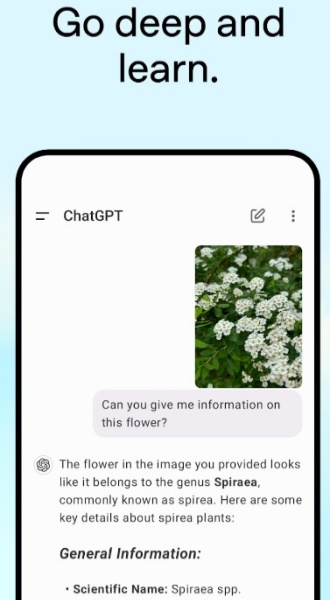 ChatGPT官网中文免费版1