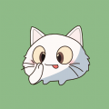 猫印相机最新版下载